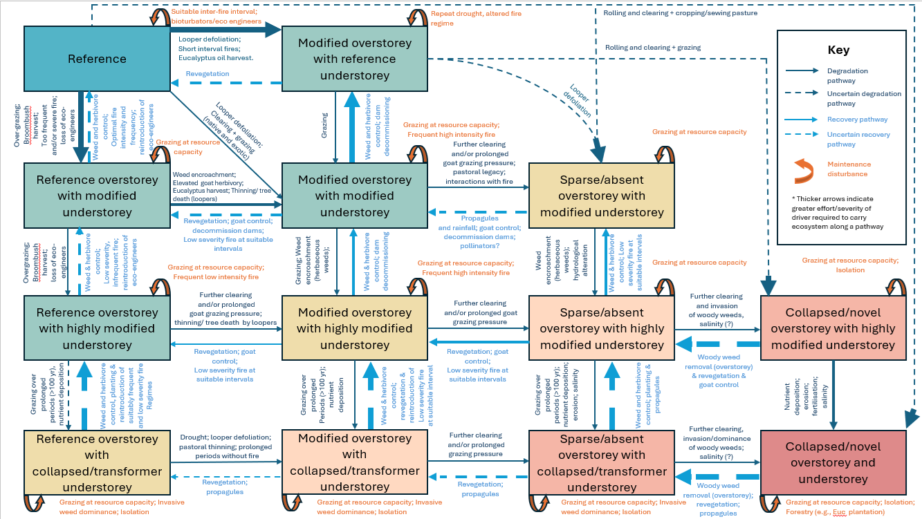 Conceptual State-and-Transition Model for mallee vegetation condition states